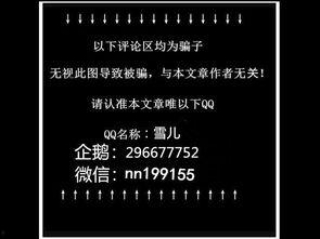 北京冠军定位走势图,趋势洞察与未来展望