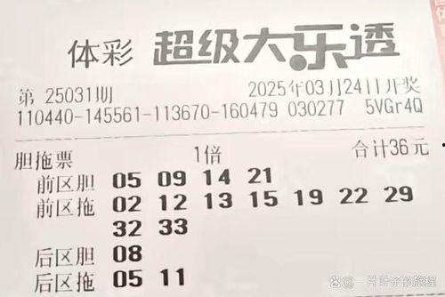 大乐透开奖最近五百期,近五百期数据深度解析